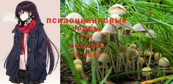 бошки Алзамай