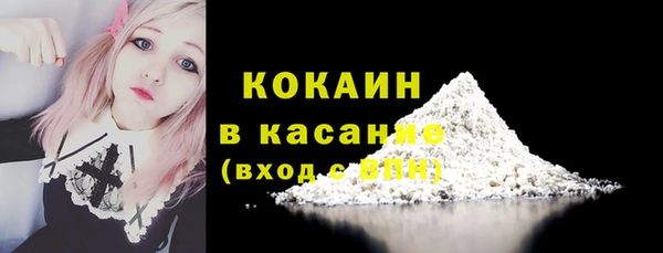 гидра Пестово