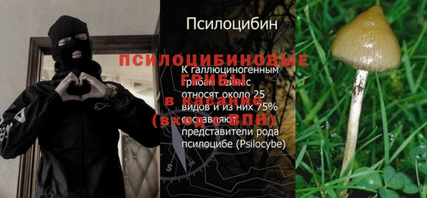 бошки Алзамай