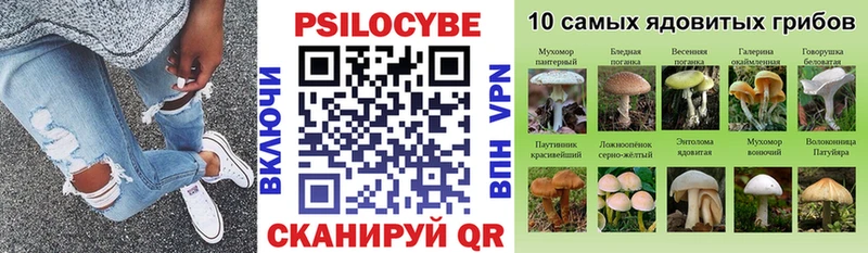Галлюциногенные грибы Psilocybine cubensis  Лихославль 